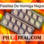Black Ant Pills 07
